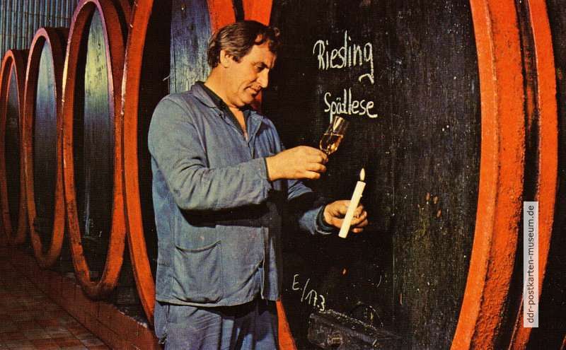 VEB Weinbau Radebeul, Qualitätsprüfer im Weinkeller vom Schloß Wackerbarth - 1977
