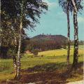 Blick vom Birkenwäldchen zur Augustusburg - 1966