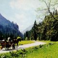 Im Koscieliskatal in der Hohen Tatra - 1983