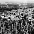 Blick von den Weinbergen auf Tokaj - 1977