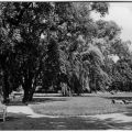 Park des Moorbades - 1967
