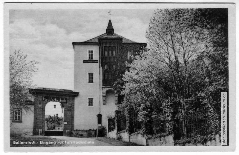 Eingang zur Forstfachschule (ehem. Schloß) - 1956