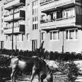 Pferdeplastik an der Florian-Geyer-Straße - 1968