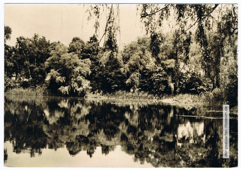 Körnersee im Körnerpark - 1963