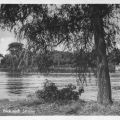 Blick vom Treptower Ufer nach Stralau - 1958