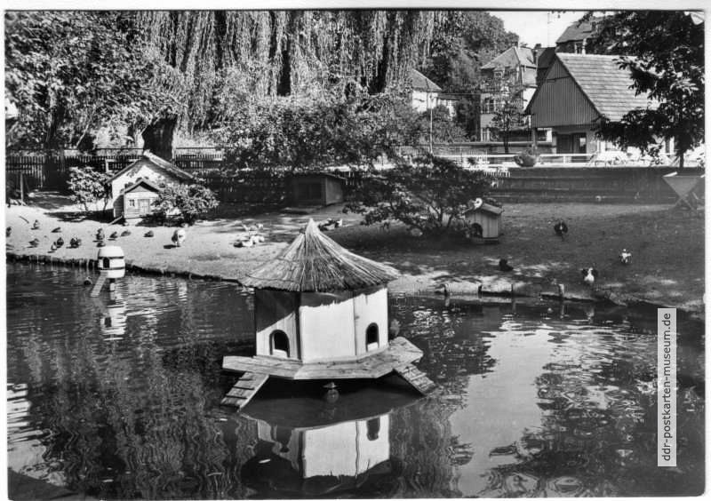 Tierpark Bischofswerda mit Ententeich - 1972