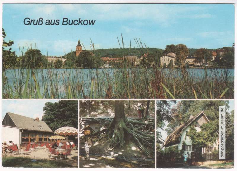 Buckow-See, HOG "Bollersdorfer Höhe", Wurzelfichte, Brecht-Weigel-Haus - 1989