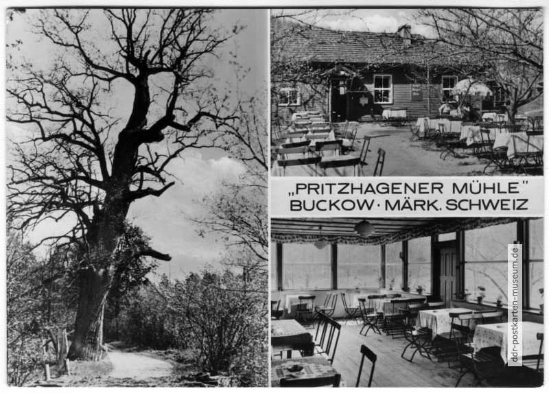 Gaststätte "Pritzhagener Mühle", Alte Eiche - 1973