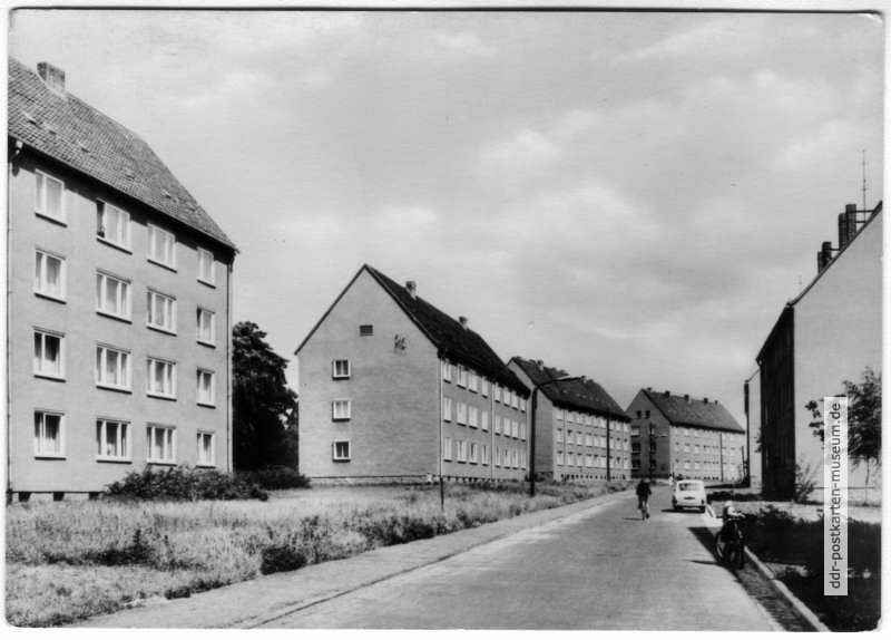 Neubauten in der AWG-Siedlung - 1967