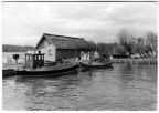 Fischerboote im Bootshafen - 1982