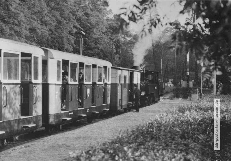 Zug der Pioniereisenbahn Cottbus kurz vor Abfahrt - 1979