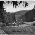 Partie im Kühlen Tal bei Friedrichroda - 1961