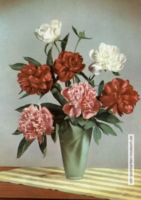 Rückseite: Herzliche Pfingstgrüße - 1962