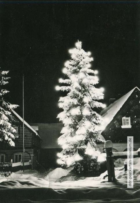 Weihnachtsbaum in Seiffen (Erzgebirge) - 1965