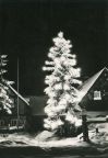 Weihnachtsbaum in Seiffen (Erzgebirge) - 1965