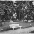 Park - 1958