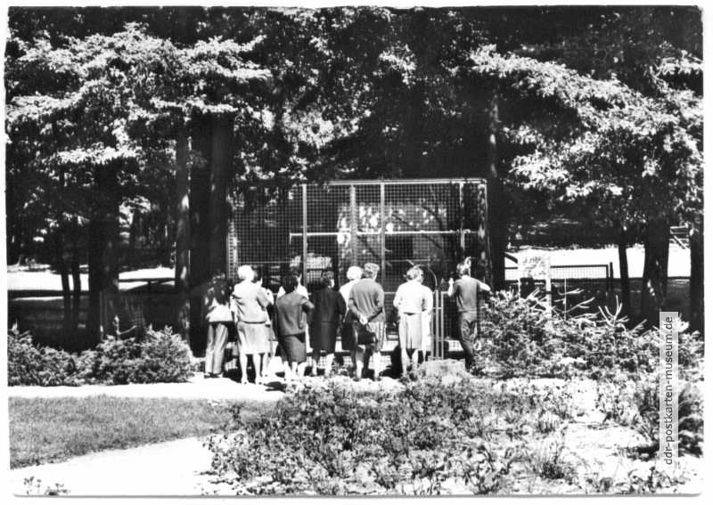 Tierpark am Kurhaus Klötze - 1982