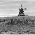 Windmühle - 1968