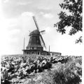 Windmühle - 1977