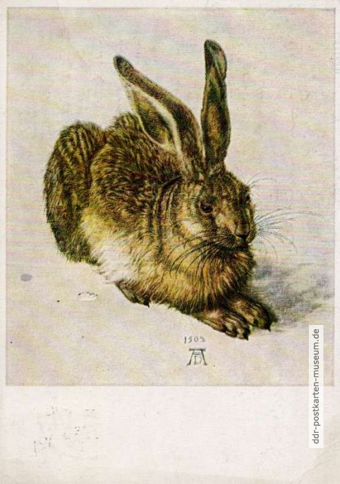 "Junger Feldhase" von Albrecht Dürer (Albertina, Wien) - 1964
