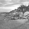 Strand vom Fischland nach einem Sturm - 1970