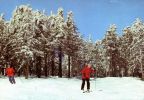 Skilaufen im Osterzgebirge - 1983