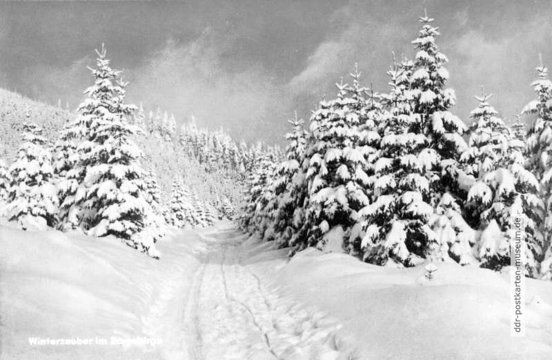 Winterzauber im Erzgebirge - 1963