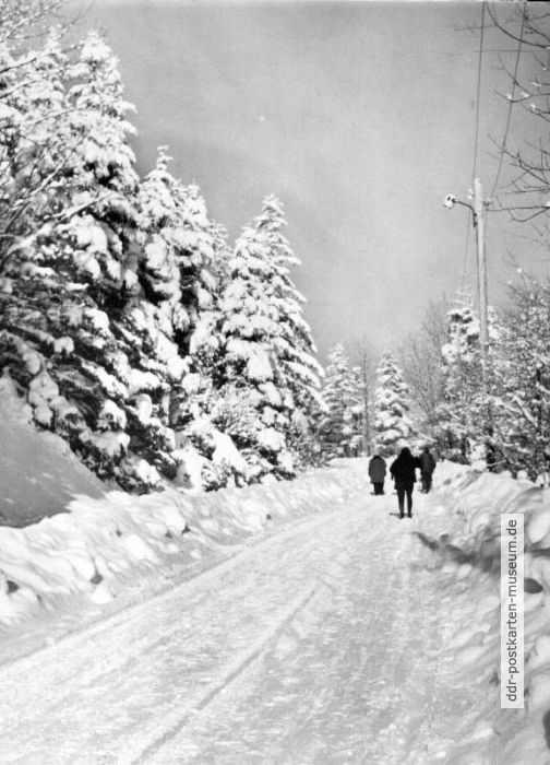 Wanderung auf der Bergstraße bei Bärenstein - 1982