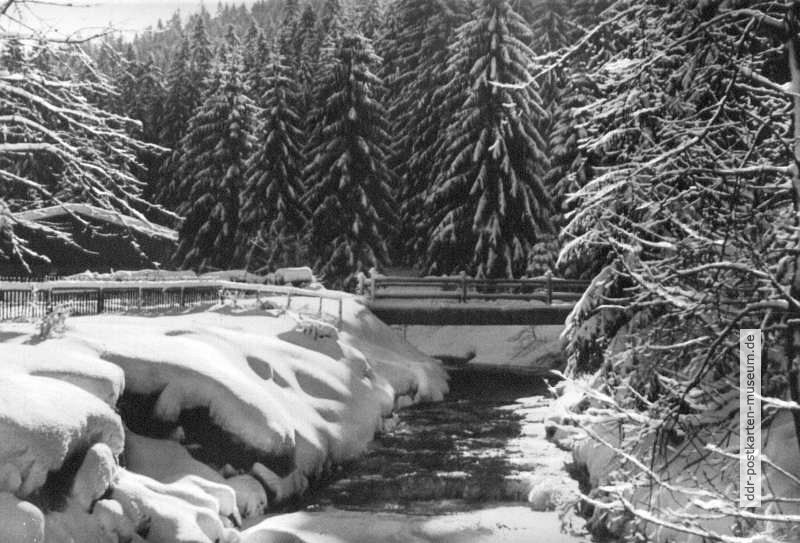 Winterpracht an der Weißeritz bei Waldbärenburg - 1976