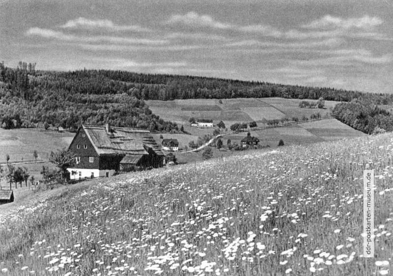 Frühlingswiese bei Rehefeld - 1964