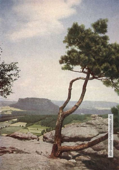 Blick vom Pfaffenstein zum Lilienstein - 1957