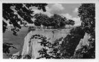 Aussichtsplateau des Königstuhl von Norden gesehen - 1955