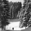 Winter im Thüringer Wald - 1955