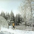 Winter im Thüringer Wald - 1986