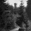 Kapellenbergturm bei Schönberg - 1966
