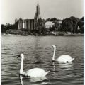 Blick zur Klosterkirche - 1970