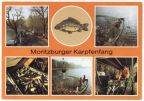 Moritzburger Karpfenfang - 1989
