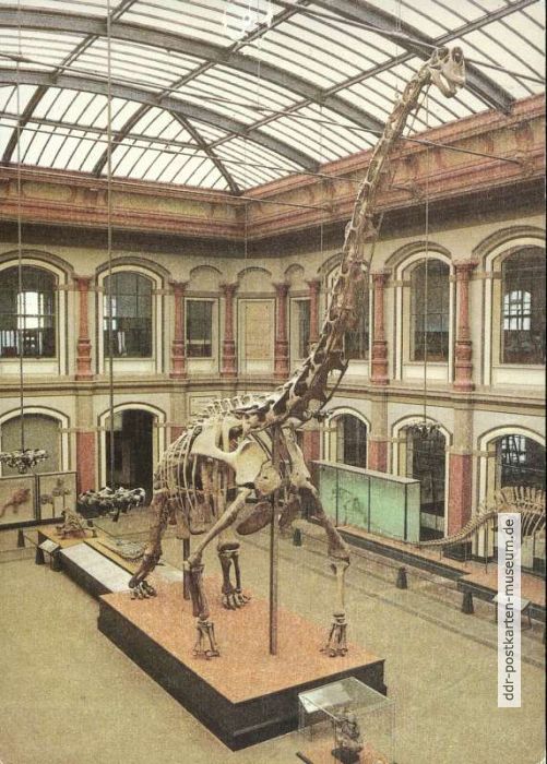 Museum für Naturkunde, Sauriersaal mit "Brachiosaurus brancai" - 1989