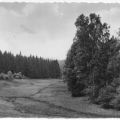Birnbaumgrund bei Neudorf im Harz - 1961