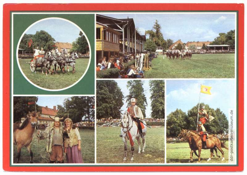 Neustädter Pferdetage "Das Pferd im Wandel der Zeiten" - 1985