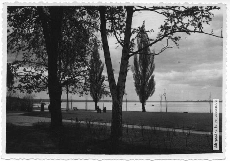 Am Uckersee - 1960