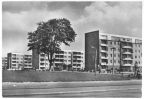 Neubauten in Lütten Klein - 1971