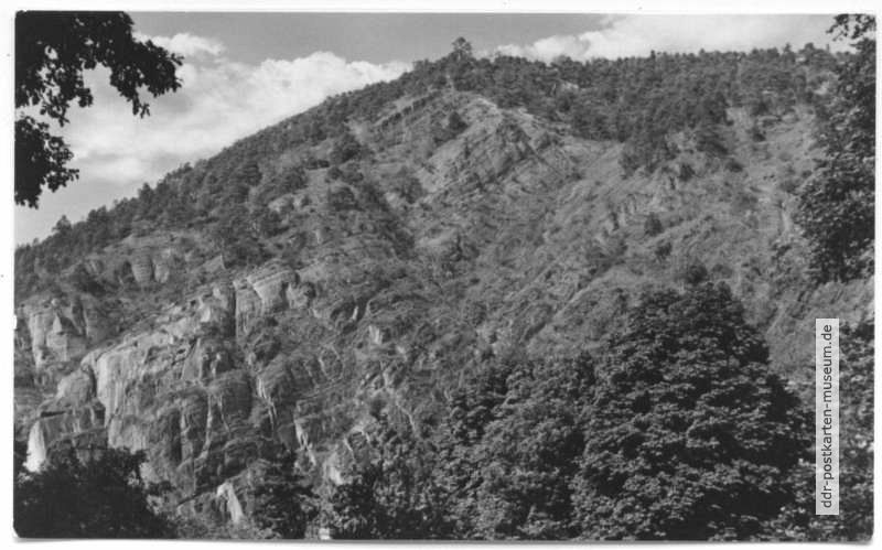 Im Felsengebiet bei Saalfeld - 1967