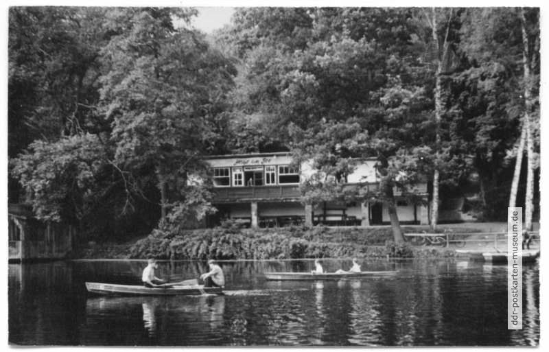 Haus am See - 1961