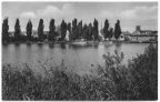 Blick über den Kanal - 1960