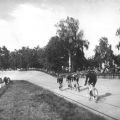 DDR-Meisterschaft auf der Radrennbahn Forst - 1957