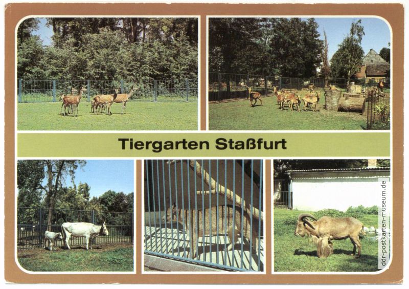 Tiergarten Staßfurt - 1983