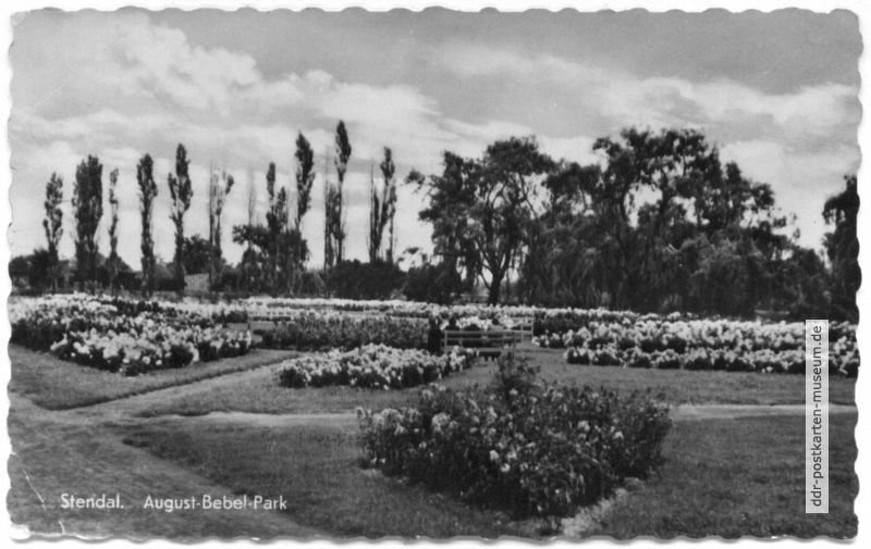 August-Bebel-Park - 1956
