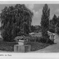 Partie im Park (August-Bebel-Park) - 1956