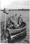 Reusenfischer auf dem Strelasund - 1978